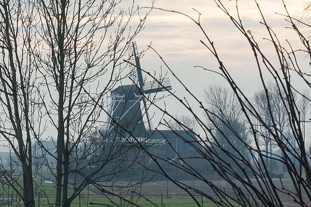 B&B Lauwersstate Paesens Eksteriør billede